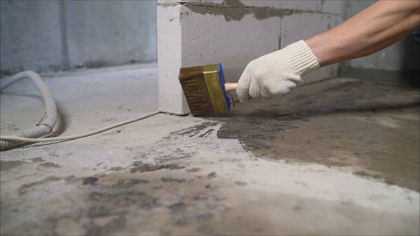 Top rated local Waterproofing specialists in Quantico, VA